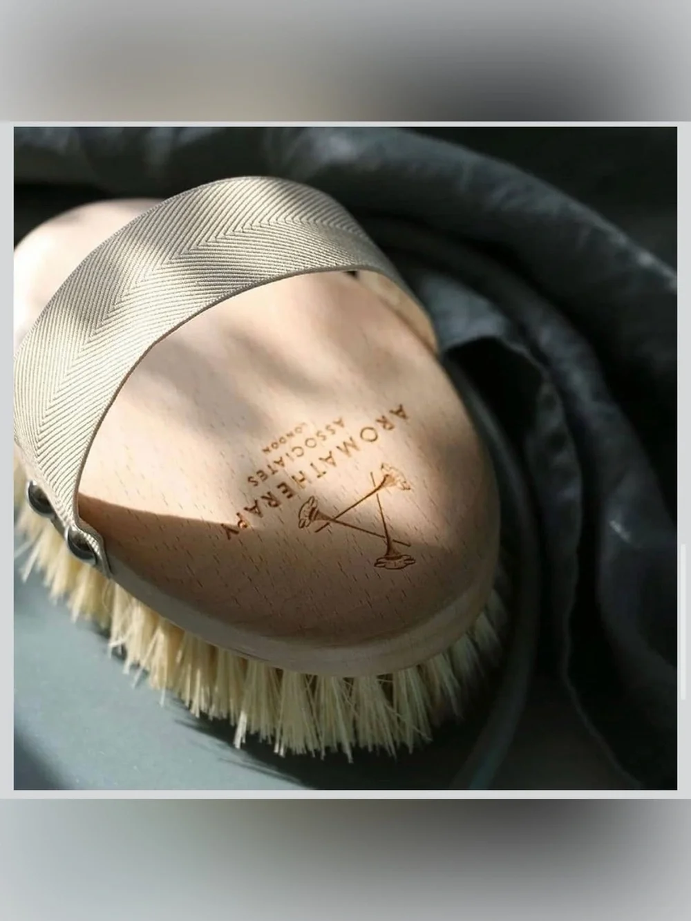 NWT Wooden Dry Brush - Cactus Bristles